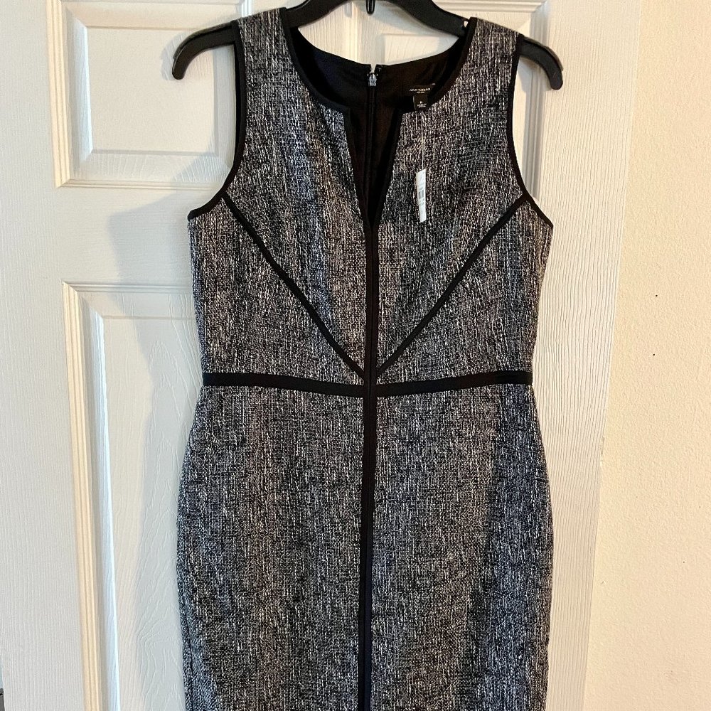 Ann Taylor Sleeveless V-neck Dress
